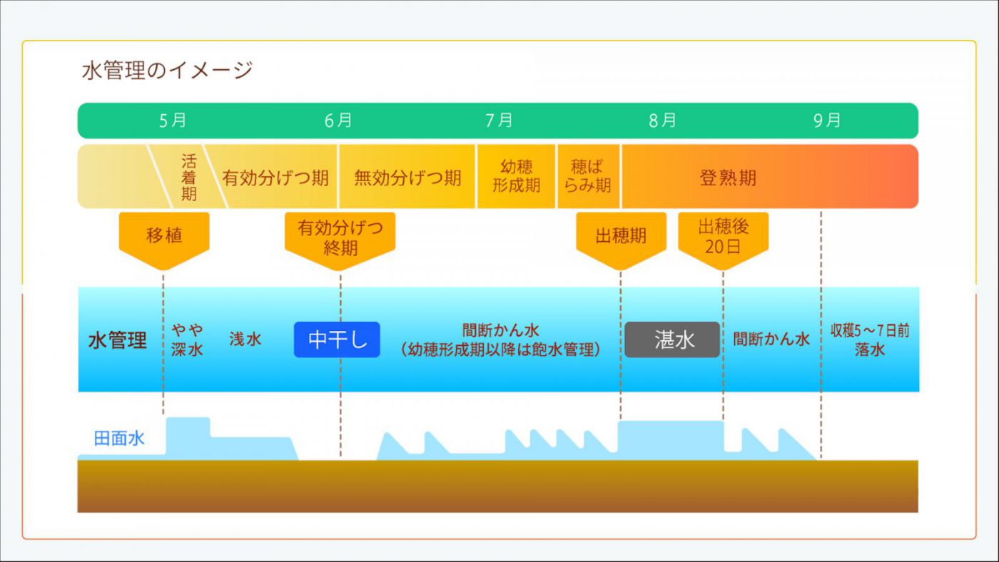 水管理 お米未来塾