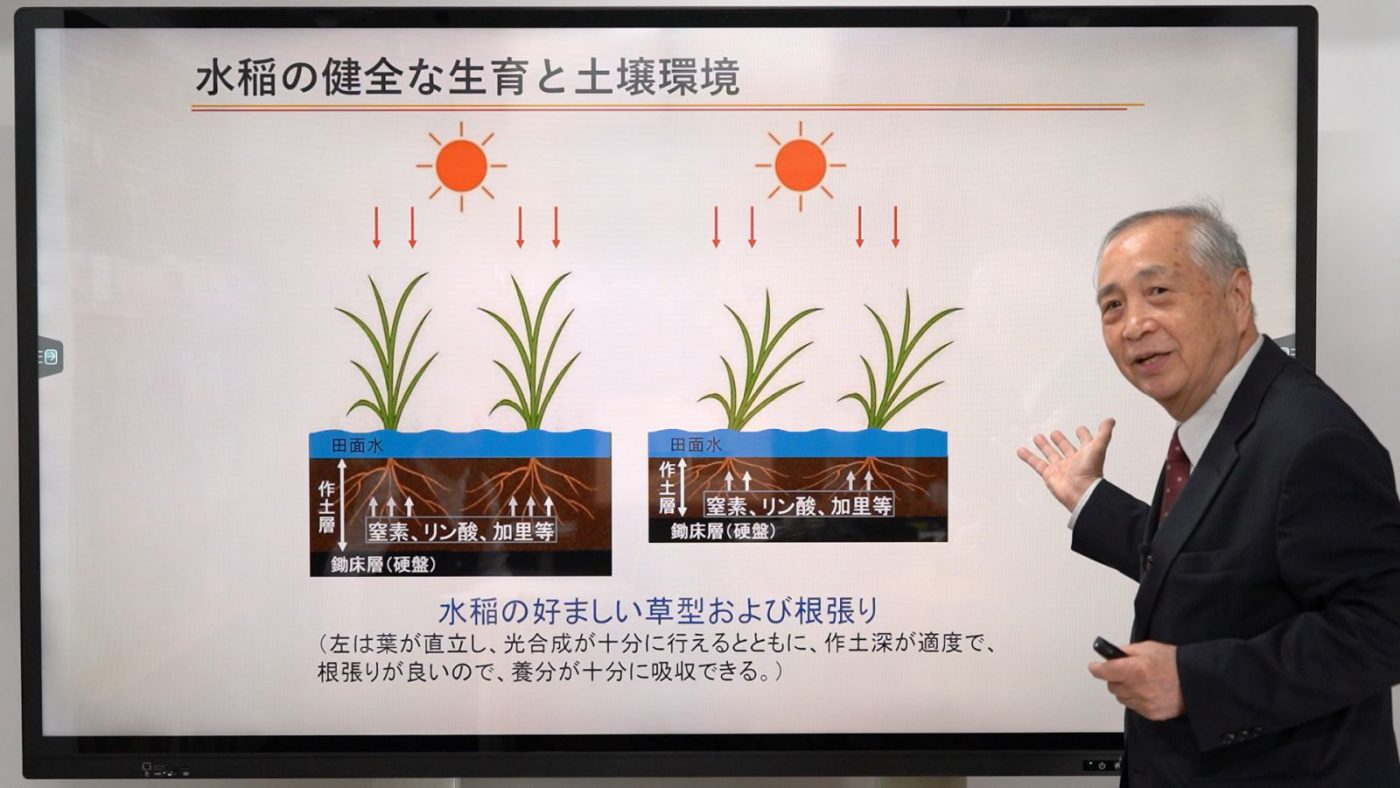 水稲の健全な生育と土壌養分