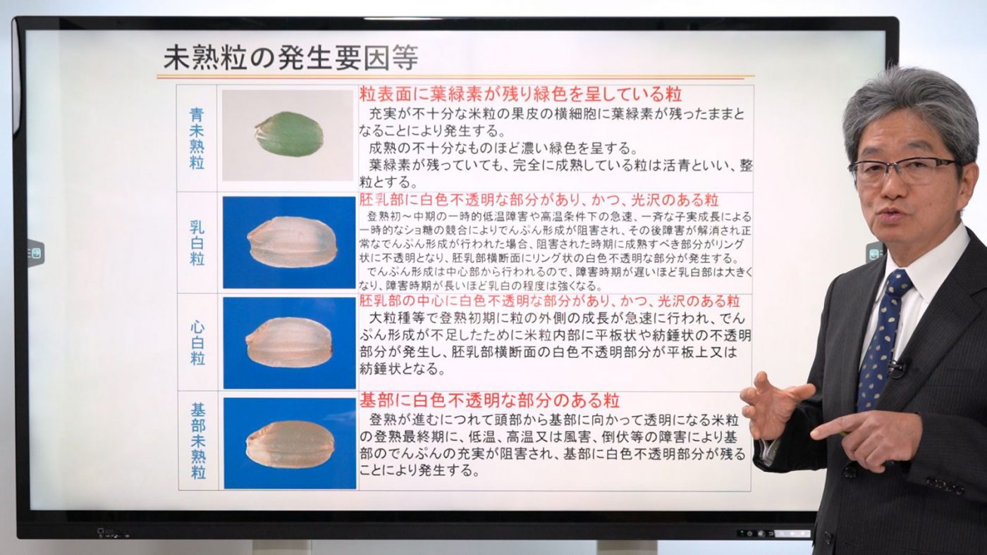 農産物検査の概要④被害粒等の発生要因等