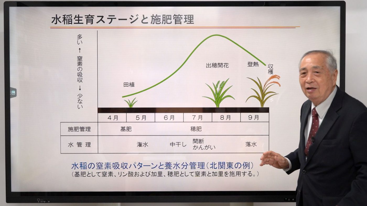 水稲生育ステージと施肥管理