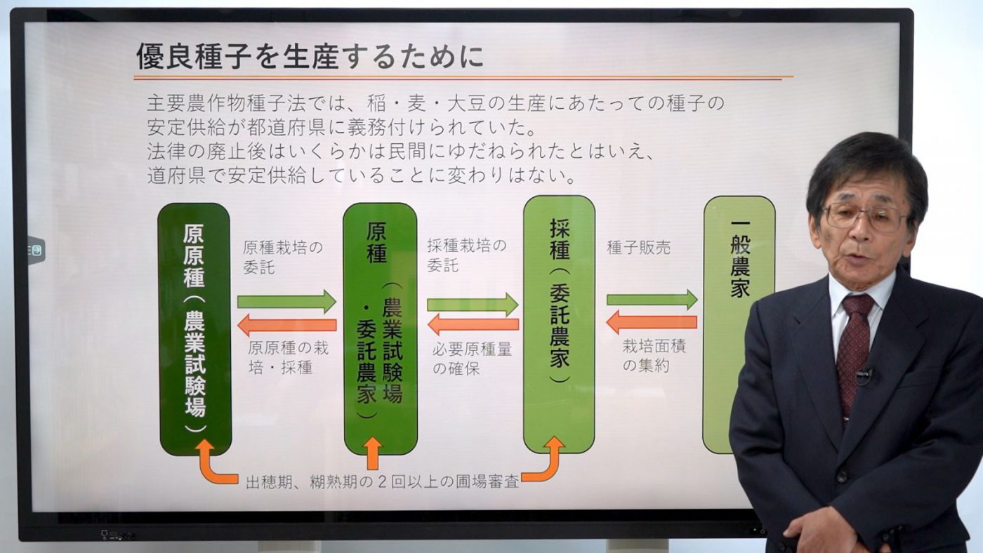 イネの種子生産