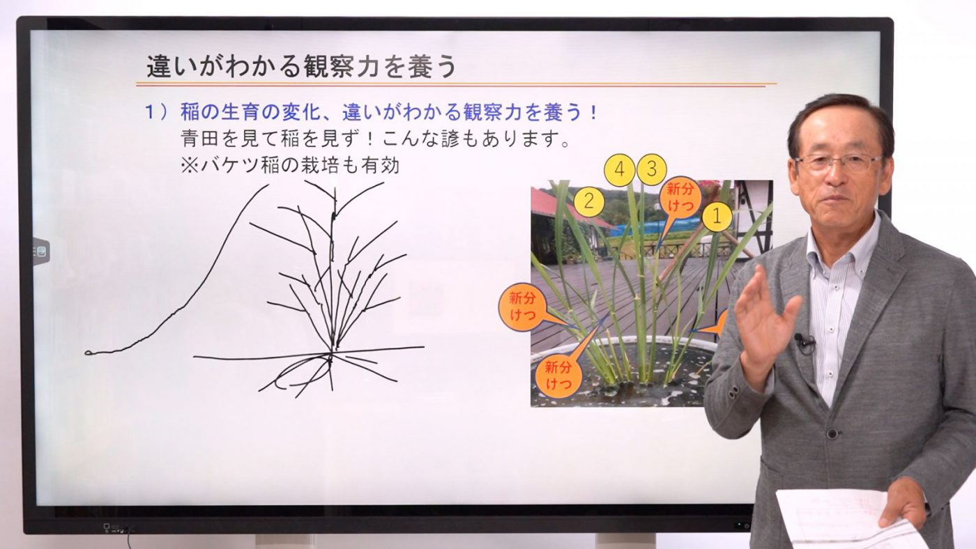 水稲の生産管理④ 違いがわかる観察力を養う/記録に残す