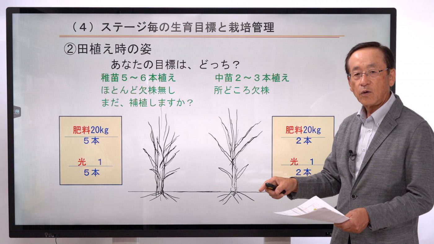 水稲の生産管理② 生産安定化の基礎は現状の把握