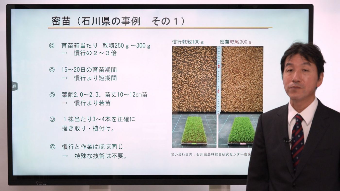 疎植と密苗-苗箱数を減らして労力・コスト削減-