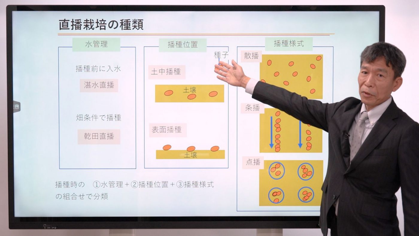 直播栽培-育苗の省略で労力・コスト削減- 〈前編〉